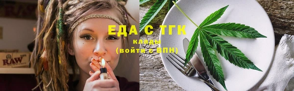 индика Медвежьегорск