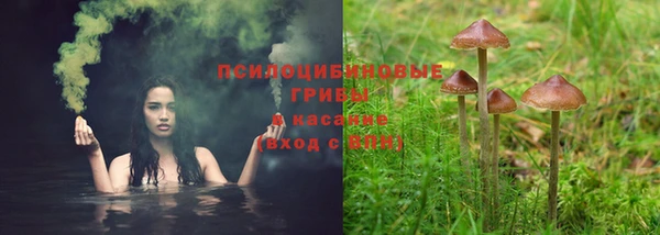 каннабис Медногорск