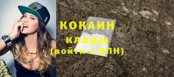 индика Медвежьегорск