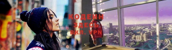 индика Медвежьегорск