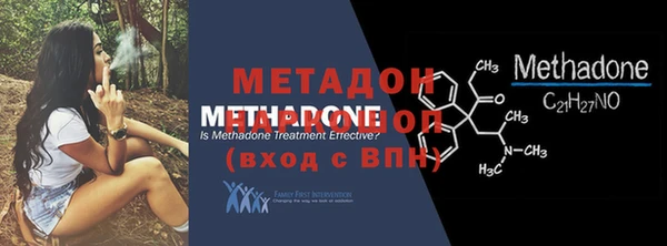 индика Медвежьегорск
