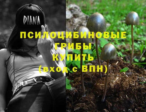 индика Медвежьегорск