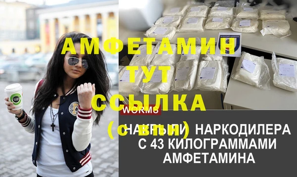 индика Медвежьегорск