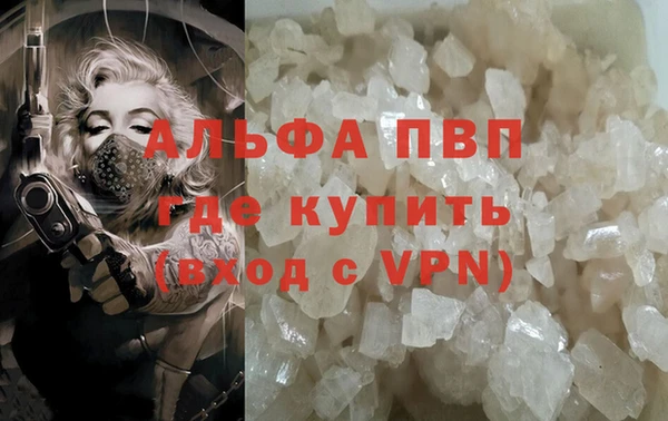 индика Медвежьегорск
