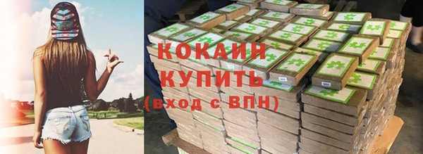 индика Медвежьегорск