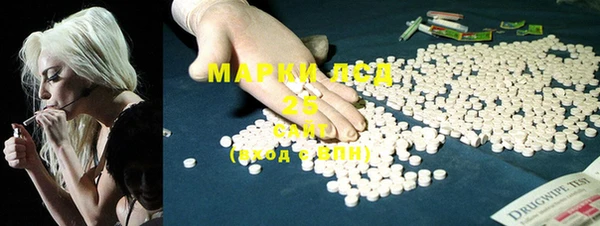 индика Медвежьегорск