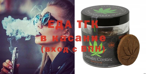 индика Медвежьегорск