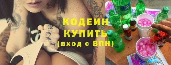 индика Медвежьегорск