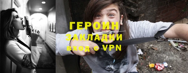 индика Медвежьегорск
